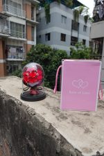Rose in Glass Dome with LED Lights - Image 2