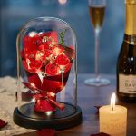 Rose in Glass Dome with LED Lights