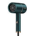 Professional Portable Hair Dryer